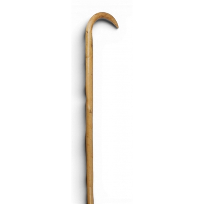 Hazel shepherd’s crook