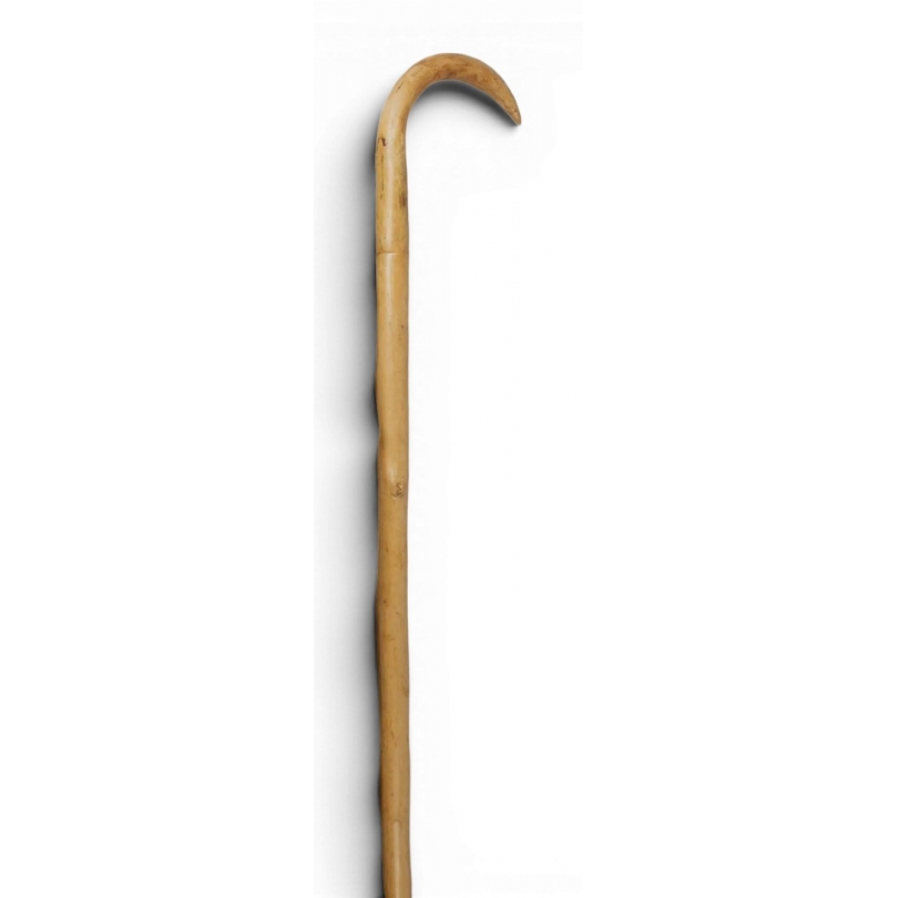 Baton de berger en noisetier