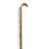 Baton de berger en noisetier