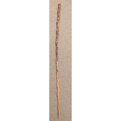 Canne monoxyle en noisetier gravé