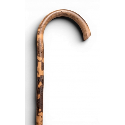 Hazel walking stick