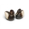Paire de canards en bois, laiton et corne