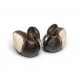 Paire de canards en bois, laiton et corne