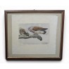Gravure "Tourterelles", signée  sur Moinat SA  - Antiquités décoration -  Gravures, Lithos