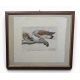 Engraving "Mating doves"