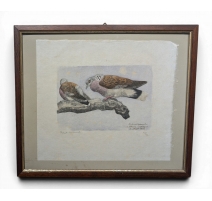 Engraving "Mating doves"