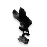 Bronze \"Aigle\"
