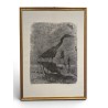 Engraving entitled ‘Héron’, signed by Robert HAINARD
