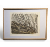 Gravure "Les bouquetins endormis" signée COSANDEY