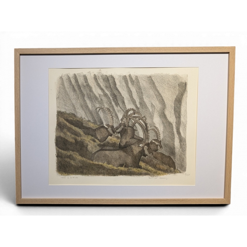 Gravure "Les bouquetins endormis" signée COSANDEY