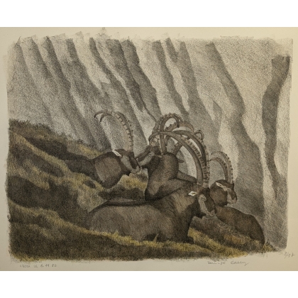 Gravure "Les bouquetins endormis" signée COSANDEY