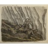 Gravure "Les bouquetins endormis" signée COSANDEY