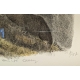 Gravure "Les bouquetins endormis" signée COSANDEY