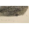 Gravure "Lagopèdes alpins l'été" signée COSANDEY
