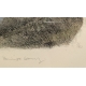 Gravure "Lagopèdes alpins l'été" signée COSANDEY