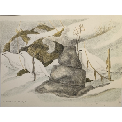 Engraving entitled ‘Alpine Ptarmigans in Winter’, signed COSANDEY