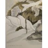 Engraving entitled ‘Alpine Ptarmigans in Winter’, signed COSANDEY