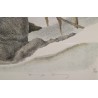 Engraving entitled ‘Alpine Ptarmigans in Winter’, signed COSANDEY