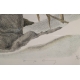 Gravure "Lagopèdes alpins l'hiver" signée COSANDEY