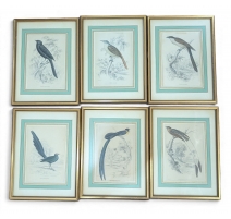 Lot de 6 gravures "Oiseaux" par SWAINSSON