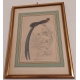 Lot de 6 gravures "Oiseaux" par SWAINSSON