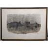 Gravure "Sangliers, clair de lune" signée HAINARD