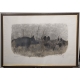 Gravure "Sangliers, clair de lune" signée HAINARD