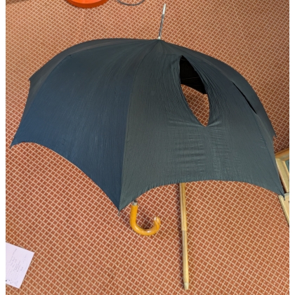 Canne parapluie corbin en bois