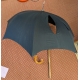 Canne parapluie corbin en bois
