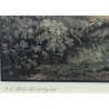Engraving ‘Lake Biel’ by ABERLI