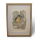Gravure "Martin-pêcheur" signée COSANDEY