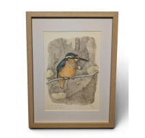 Gravure "Martin-pêcheur" signée COSANDEY