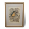 Gravure "Martin-pêcheur" signée COSANDEY