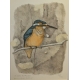 Gravure "Martin-pêcheur" signée COSANDEY