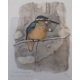 Gravure "Martin-pêcheur" signée COSANDEY