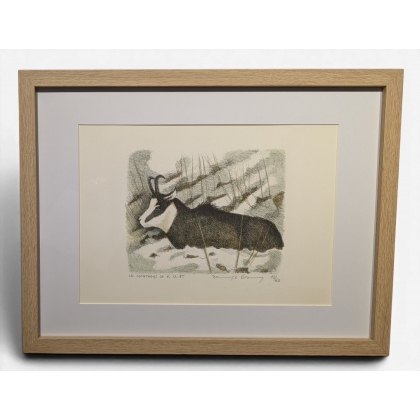 Engraving entitled ‘Chamois’, signed COSANDEY