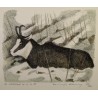 Gravure "Chamois" signée COSANDEY