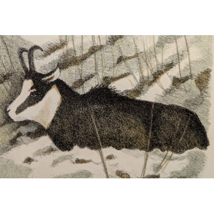 Gravure "Chamois" signée COSANDEY
