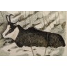 Gravure "Chamois" signée COSANDEY