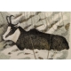 Gravure "Chamois" signée COSANDEY