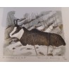 Gravure "Chamois" signée COSANDEY