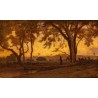 Painting entitled ‘Around Cairo’, signed E.D.