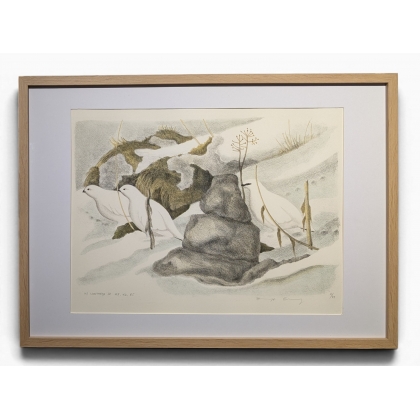 Engraving entitled ‘Alpine Ptarmigans in Winter’, signed COSANDEY