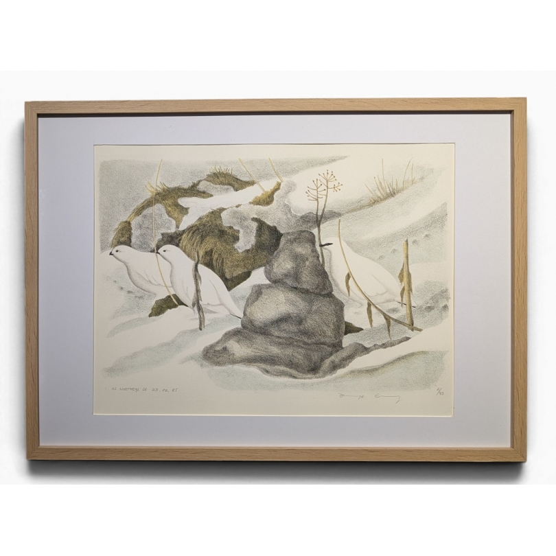 Engraving entitled ‘Alpine Ptarmigans in Winter’, signed COSANDEY