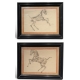Paire de dessins anatomiques de chevaux