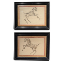 Paire de dessins anatomiques de chevaux
