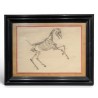 Paire de dessins anatomiques de chevaux