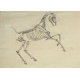 Paire de dessins anatomiques de chevaux
