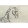 Paire de dessins anatomiques de chevaux