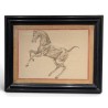 Paire de dessins anatomiques de chevaux